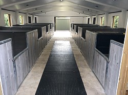Miniature horse barn and stable stall fronts