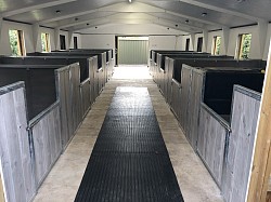 Miniature horse barn and stable stall fronts