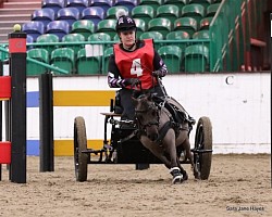 Midland indoor driving