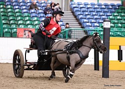 Midland indoor driving