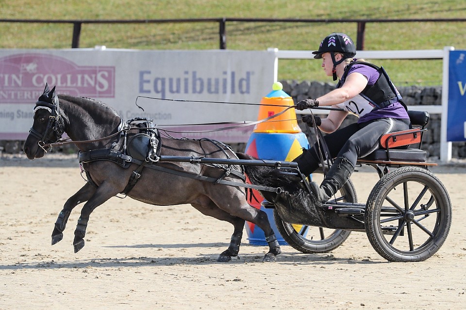 Certius Small Pony Champion 2022