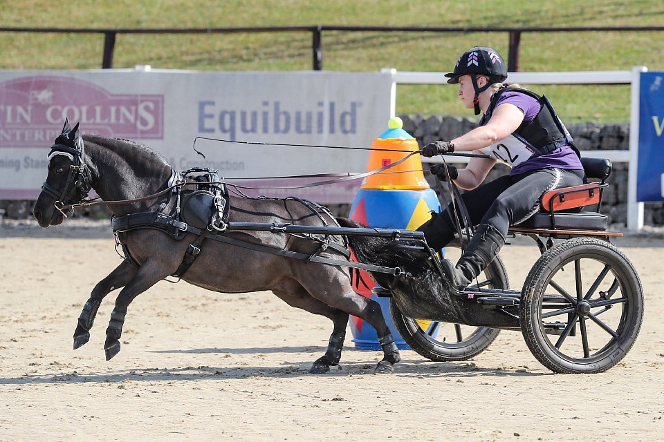 Certius Small Pony Champion 2022 & 2023
