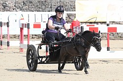 Mav certius small pony champion